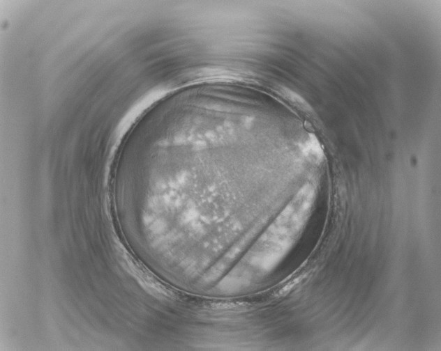 X0000052931427200507221110