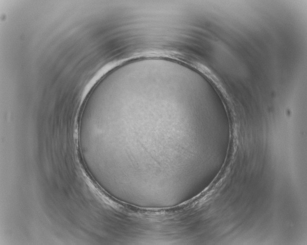 X0000052931428200507221110