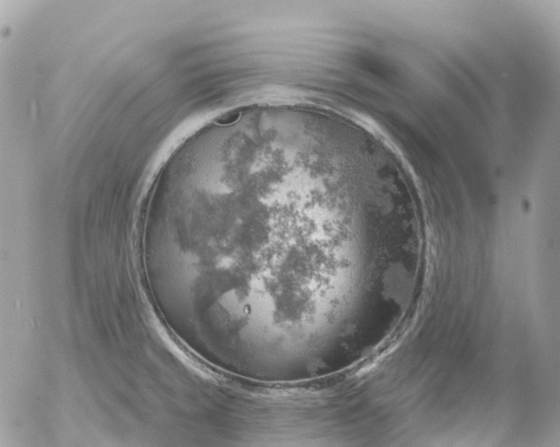 X0000052931429200507221110