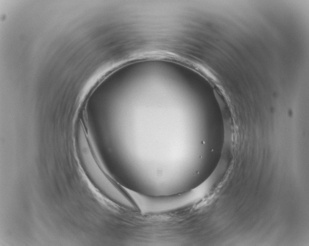 X0000052931430200507221110