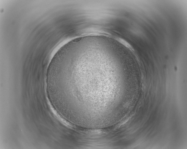 X0000052931431200507221110