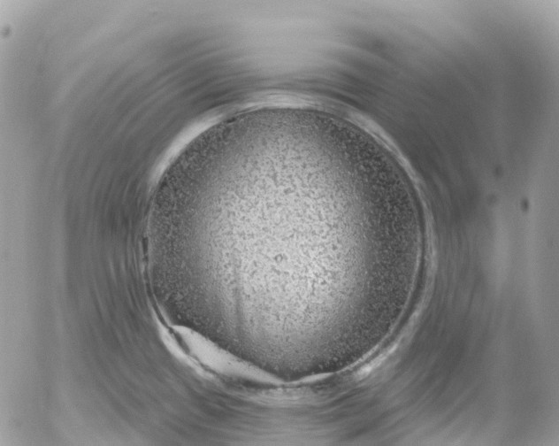 X0000052931433200507221110