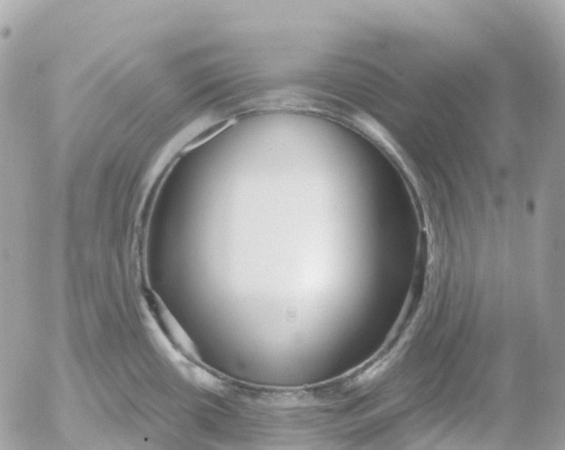 X0000052931434200507221110