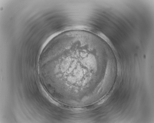 X0000052931436200507221110