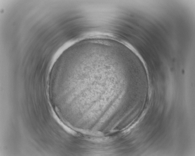 X0000052931437200507221110