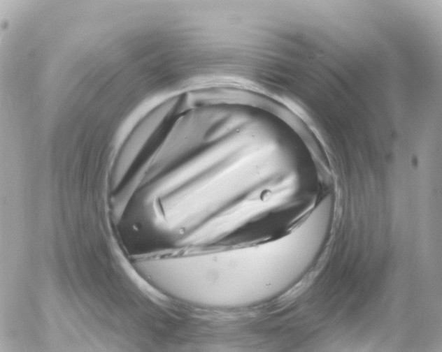 X0000052931438200507221110