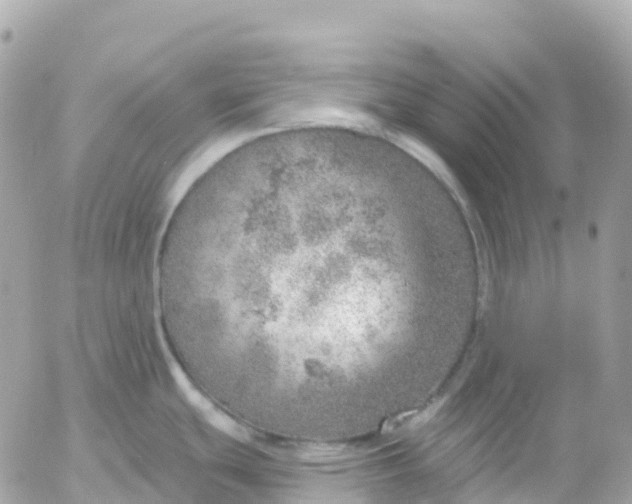 X0000052931439200507221110