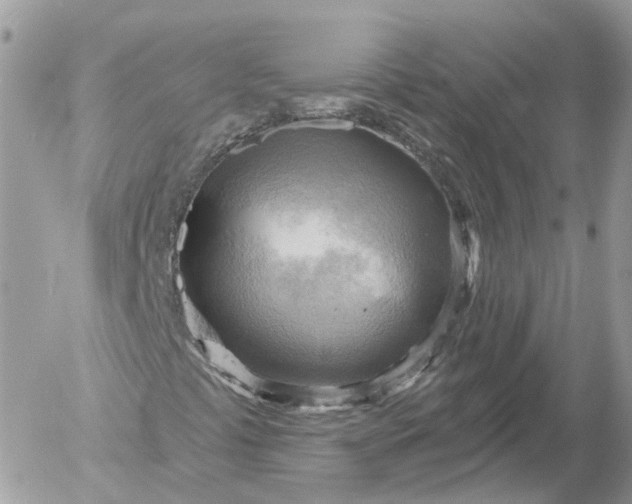 X0000052931441200507221109