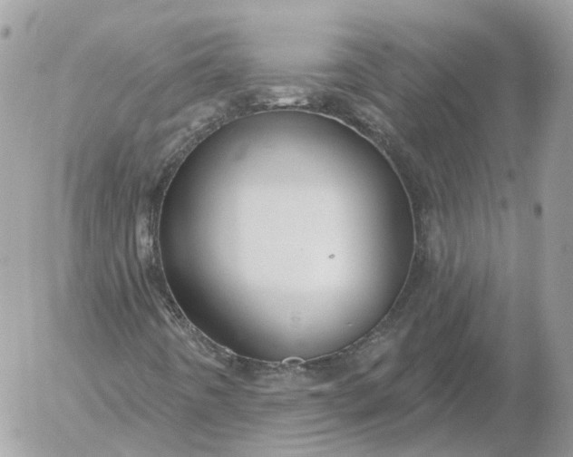 X0000052931442200507221109