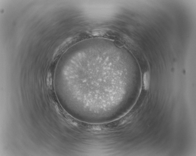 X0000052931443200507221109