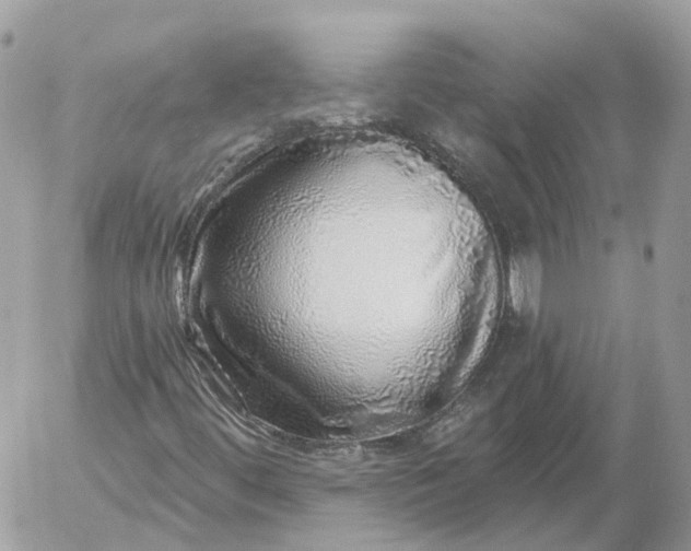 X0000052931444200507221109