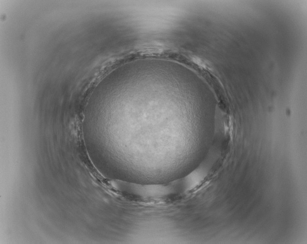 X0000052931445200507221109