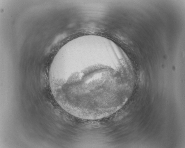 X0000052931446200507221109