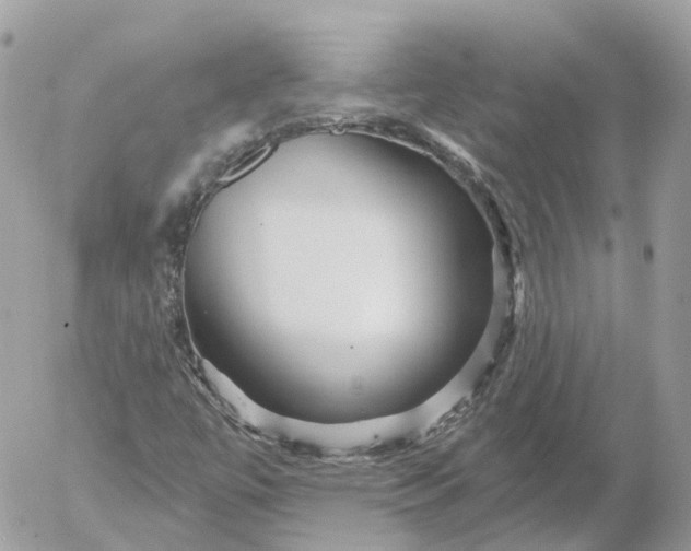 X0000052931447200507221109