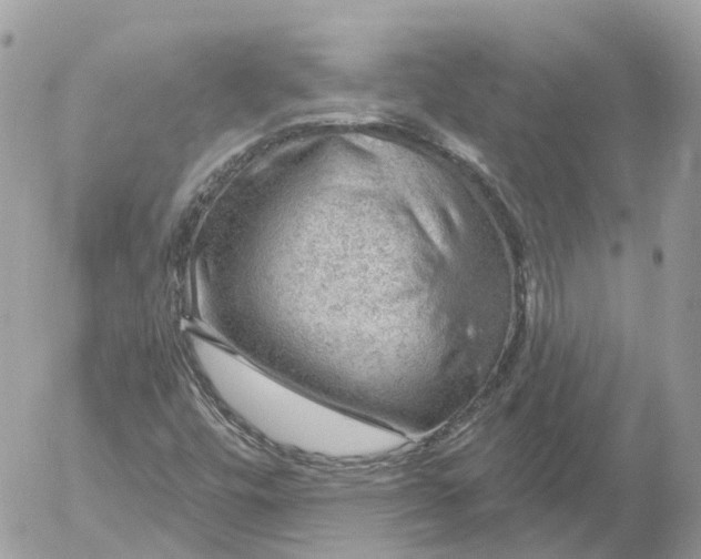 X0000052931448200507221109