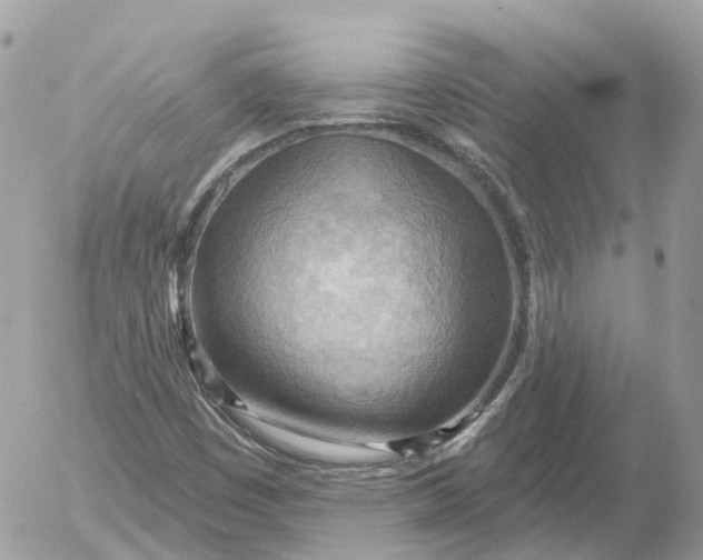 X0000052931449200507221109