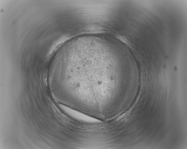 X0000052931451200507221109