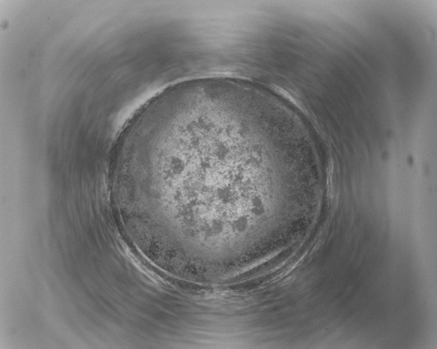 X0000052931452200507221109