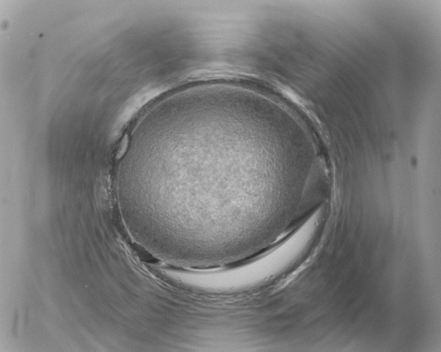 X0000052931453200507221109