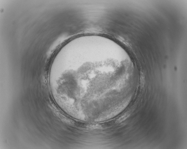 X0000052931454200507221109