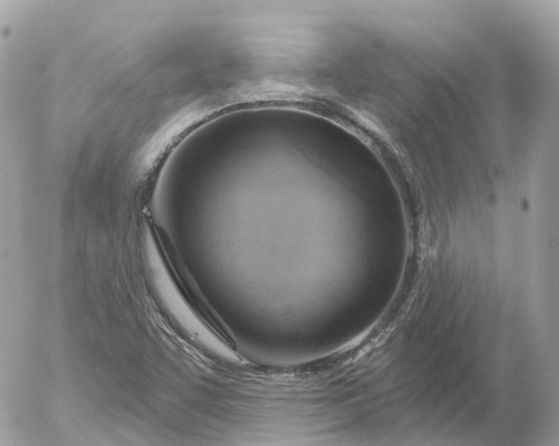 X0000052931455200507221109