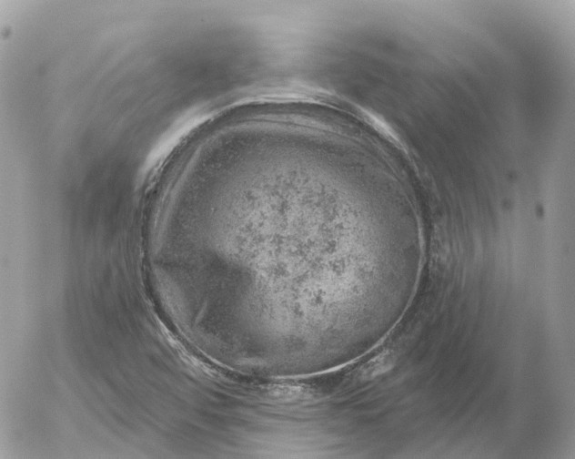 X0000052931456200507221109