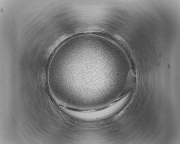 X0000052931457200507221109