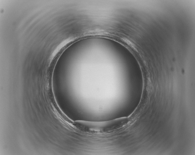 X0000052931458200507221109