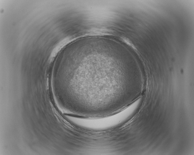 X0000052931459200507221109