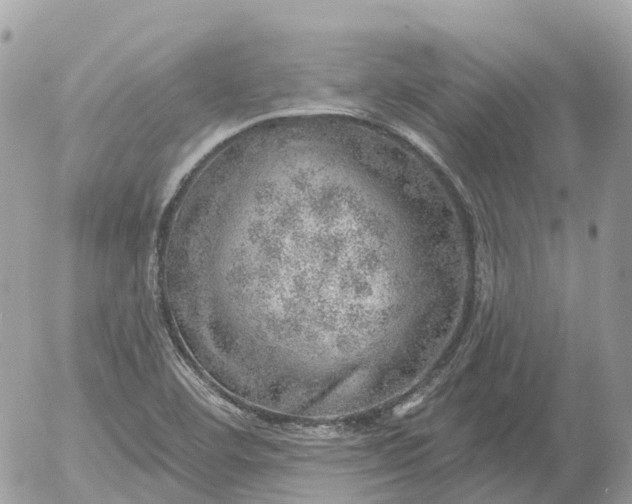 X0000052931460200507221109