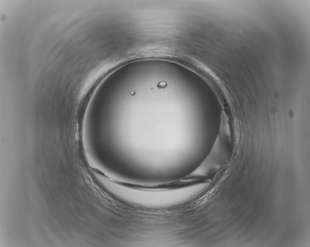 X0000052931461200507221109