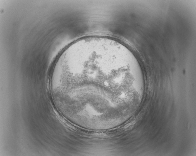 X0000052931462200507221109