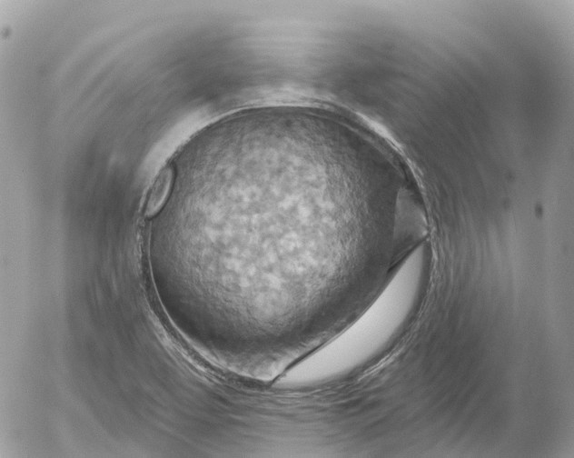 X0000052931463200507221109