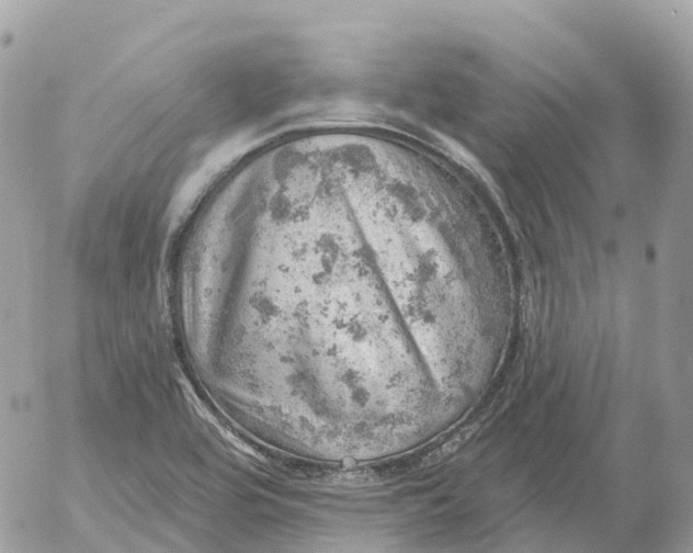 X0000052931464200507221109