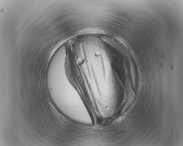 X0000052931465200507221109