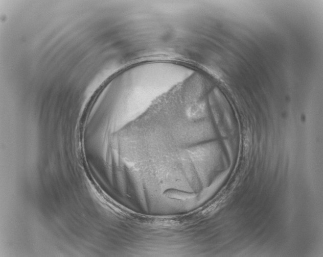 X0000052931466200507221109