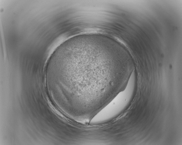 X0000052931467200507221109