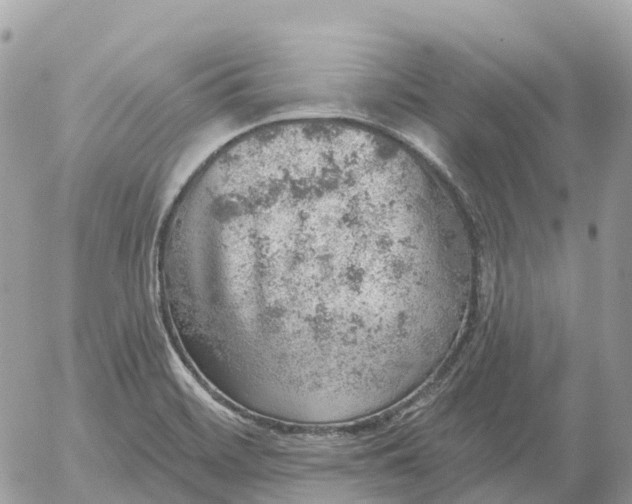 X0000052931468200507221109