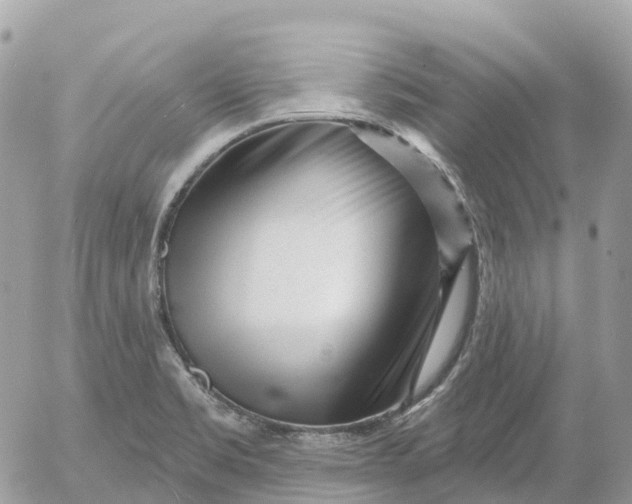 X0000052931469200507221109