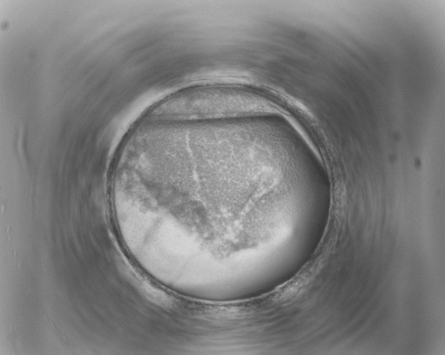 X0000052931470200507221109