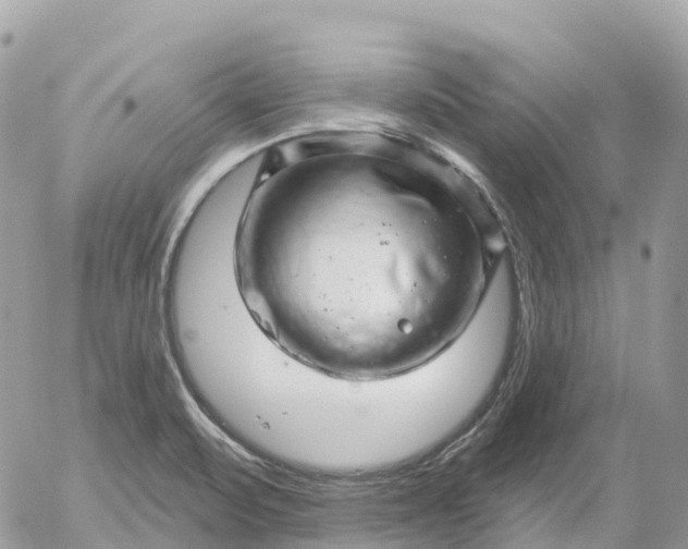 X0000052931471200507221109