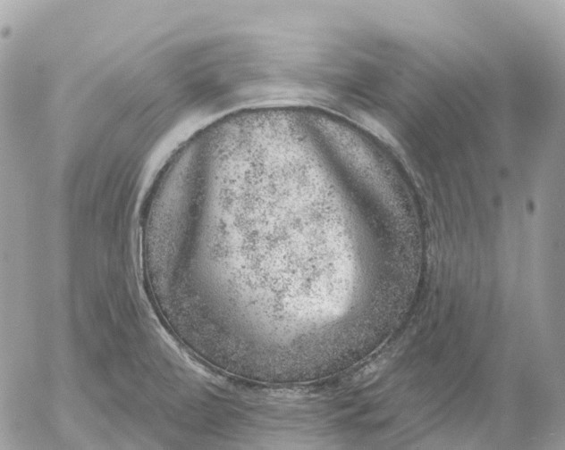 X0000052931472200507221109