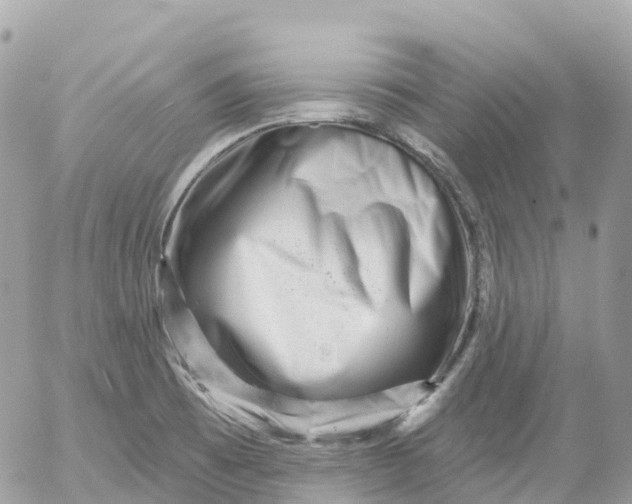 X0000052931473200507221109