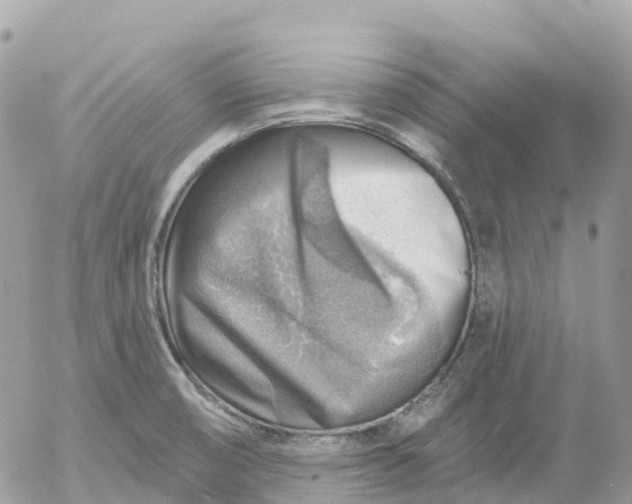 X0000052931474200507221109