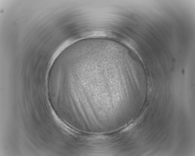 X0000052931475200507221109