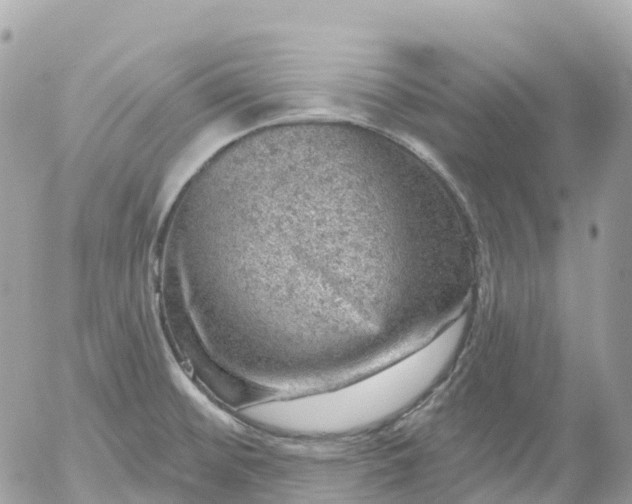 X0000052931476200507221109