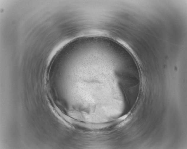 X0000052931477200507221109