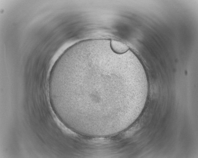 X0000052931478200507221109