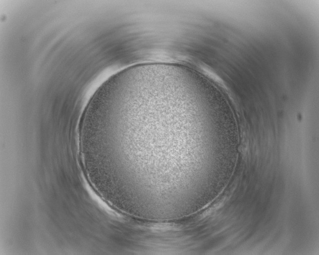 X0000052931479200507221109