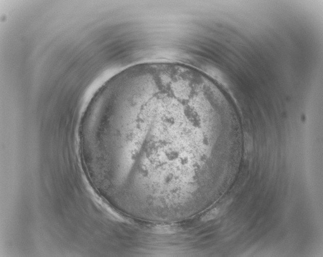 X0000052931480200507221109